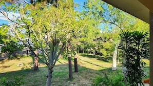 Un espace extérieur abrité, comprenant une pelouse, des arbres et une structure en béton.