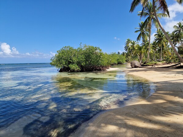 Beach nearby, white sand, beach shuttle, beach towels - Sunset Villa with Infinity Pool (Las Terrenas)