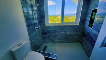 Shower, hair dryer, bidet, towels