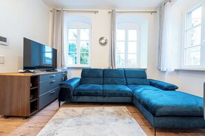 Fernseher, Arbeitsbereiche
