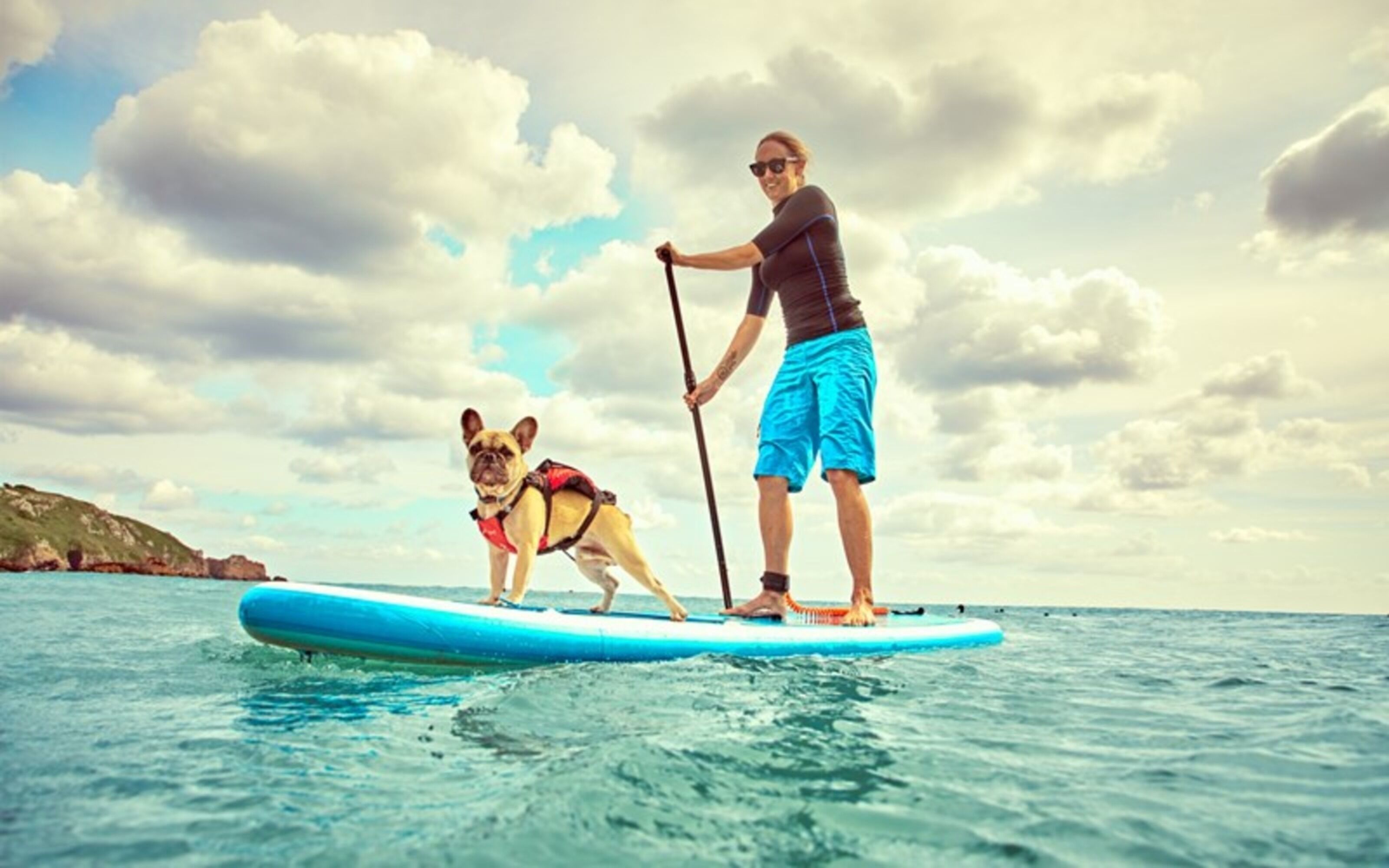 Un hombre y un perro en una tabla de remo en el agua.