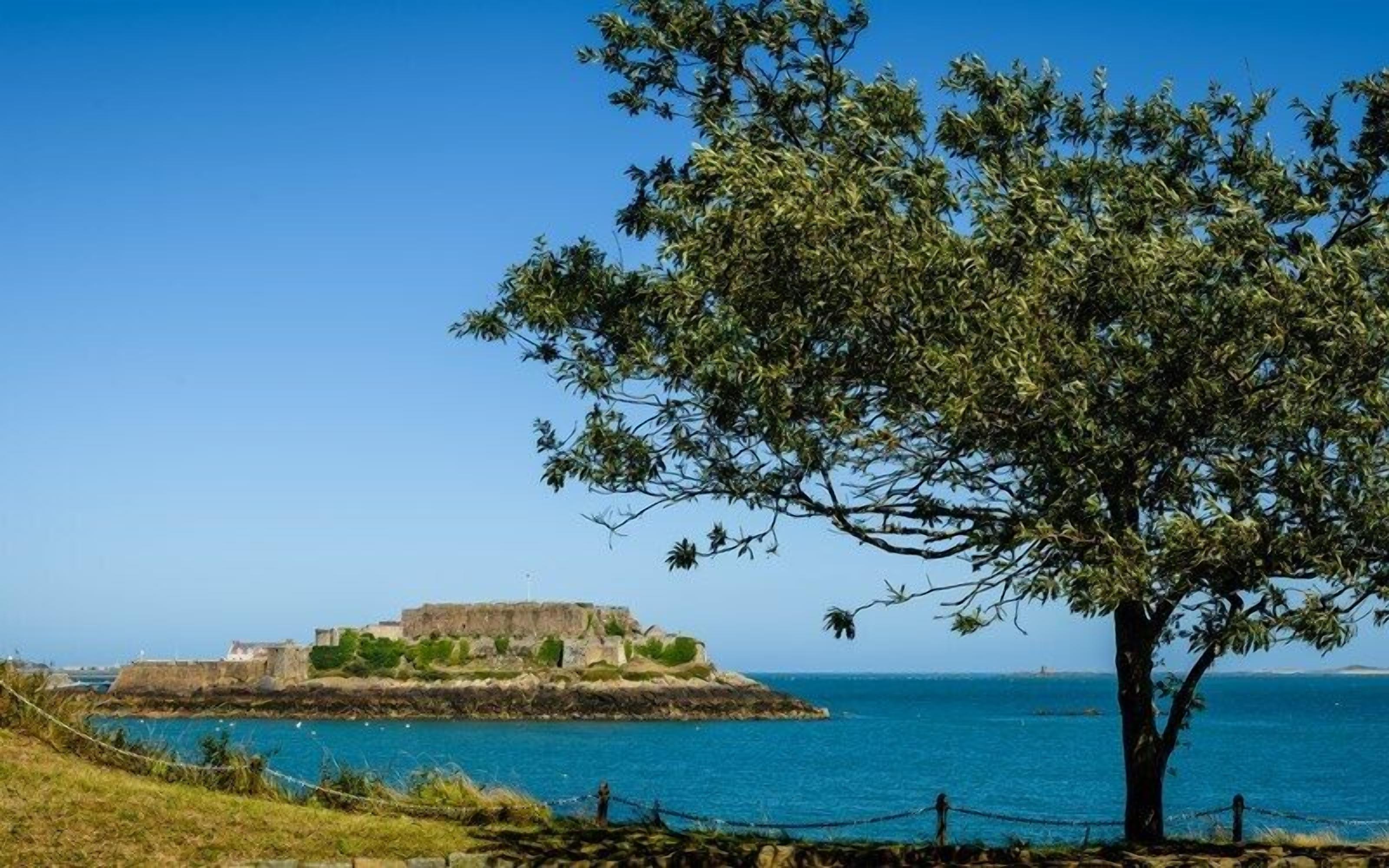 A coastal landscape with a historic fort on an island, surrounded by clear blue waters and a prominent tree in the foreground.