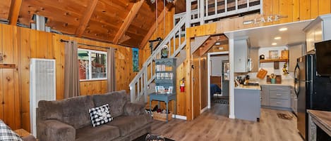 Televisor, llar de foc, reproductor de DVD i videoteca