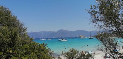 Une Vague de Plaisir en Famille