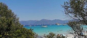 Une Vague de Plaisir en Famille