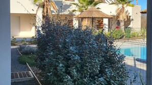 A modern villa with a pool, palm trees, and a well-maintained garden. - Une Vague de Plaisir en Famille (Linguizzetta)
