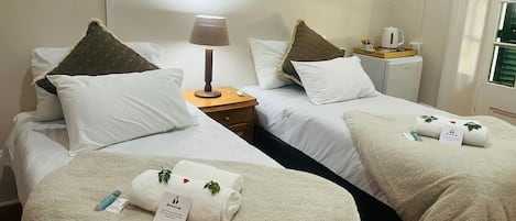 Habitación económica con 1 cama doble o 2 individuales | 1 dormitorio y wifi gratis