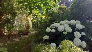A lush garden with dense foliage and clusters of white flowers.