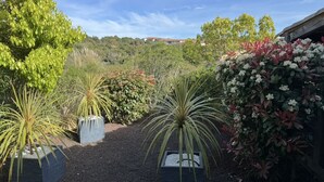 A garden with various plants and shrubs, a gravel path, and a hillside in the background. - Mini Villa sur Santa Giulia (Porto-Vecchio)