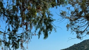 A rocky shoreline with clear turquoise water and a distant hill. - Mini Villa sur Santa Giulia (Porto-Vecchio)