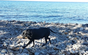 Am Strand, schwarzer Sandstrand