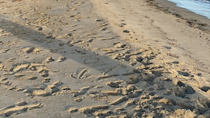 Una playa con huellas en la arena y montañas al fondo.