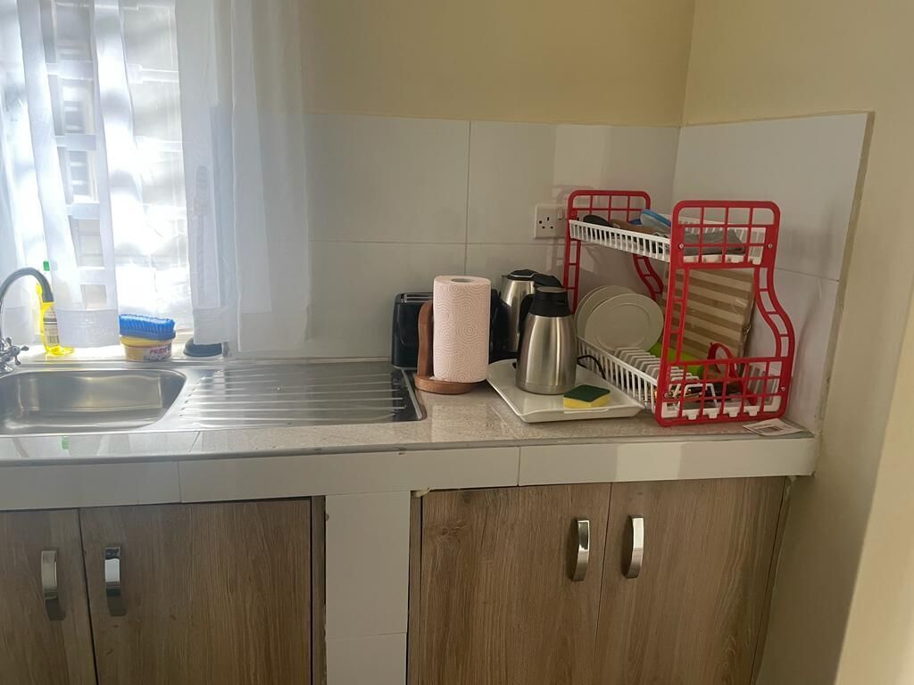 Apartamento Business | Cocina privada | Frigorífico, microondas y utensilios de cocina