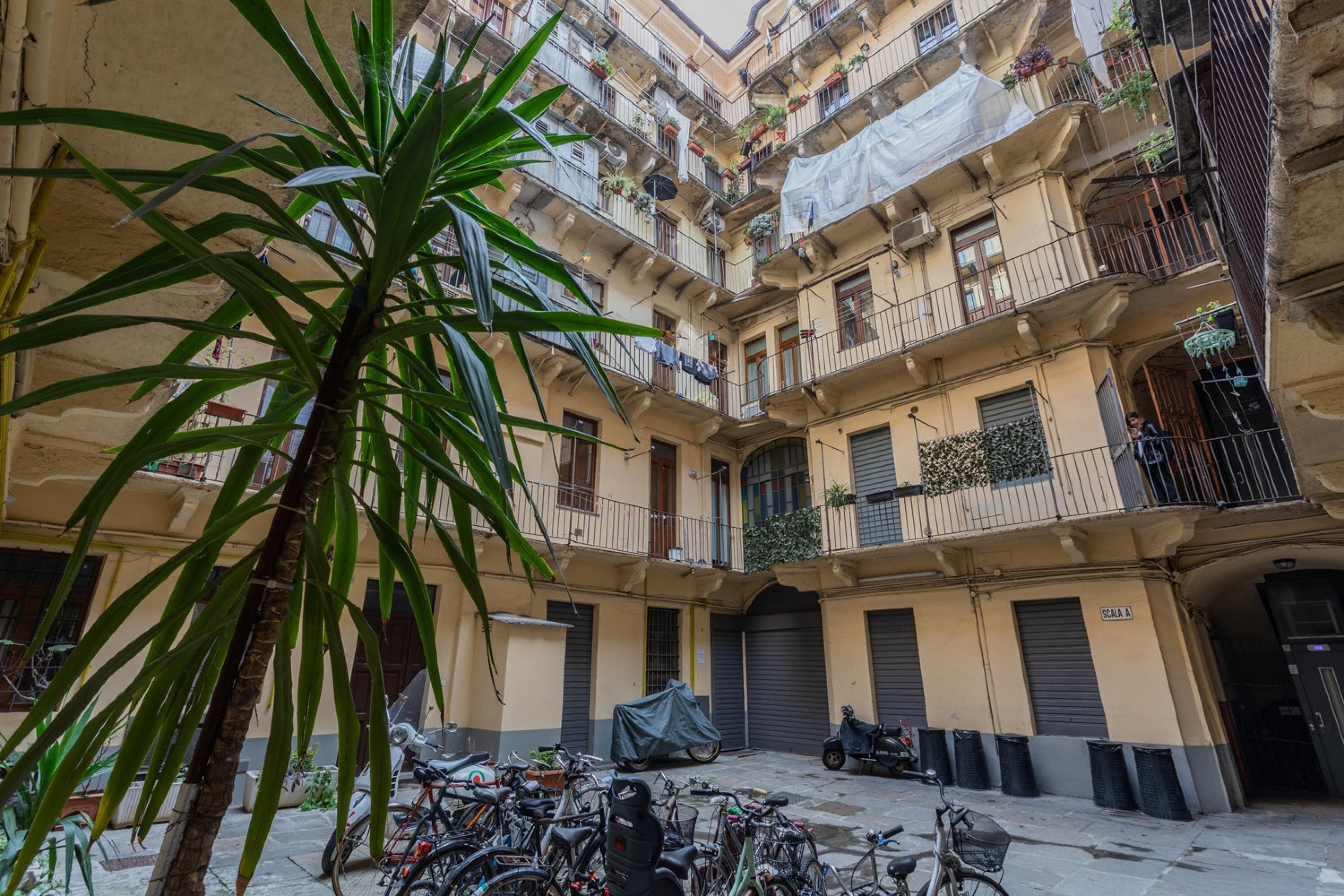 Apartment | 1 bedroom