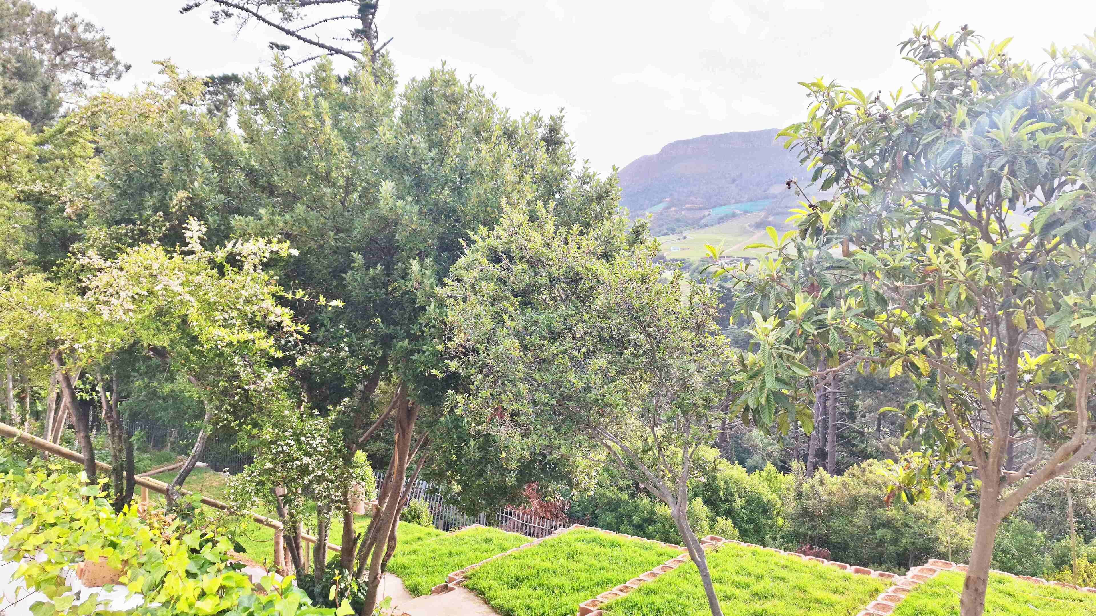 A lush garden with various trees and a pathway.