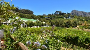 A vineyard with rows of grapevines, a wooden fence, and a building with a green roof. - Akamah Estate (Cape Town)
