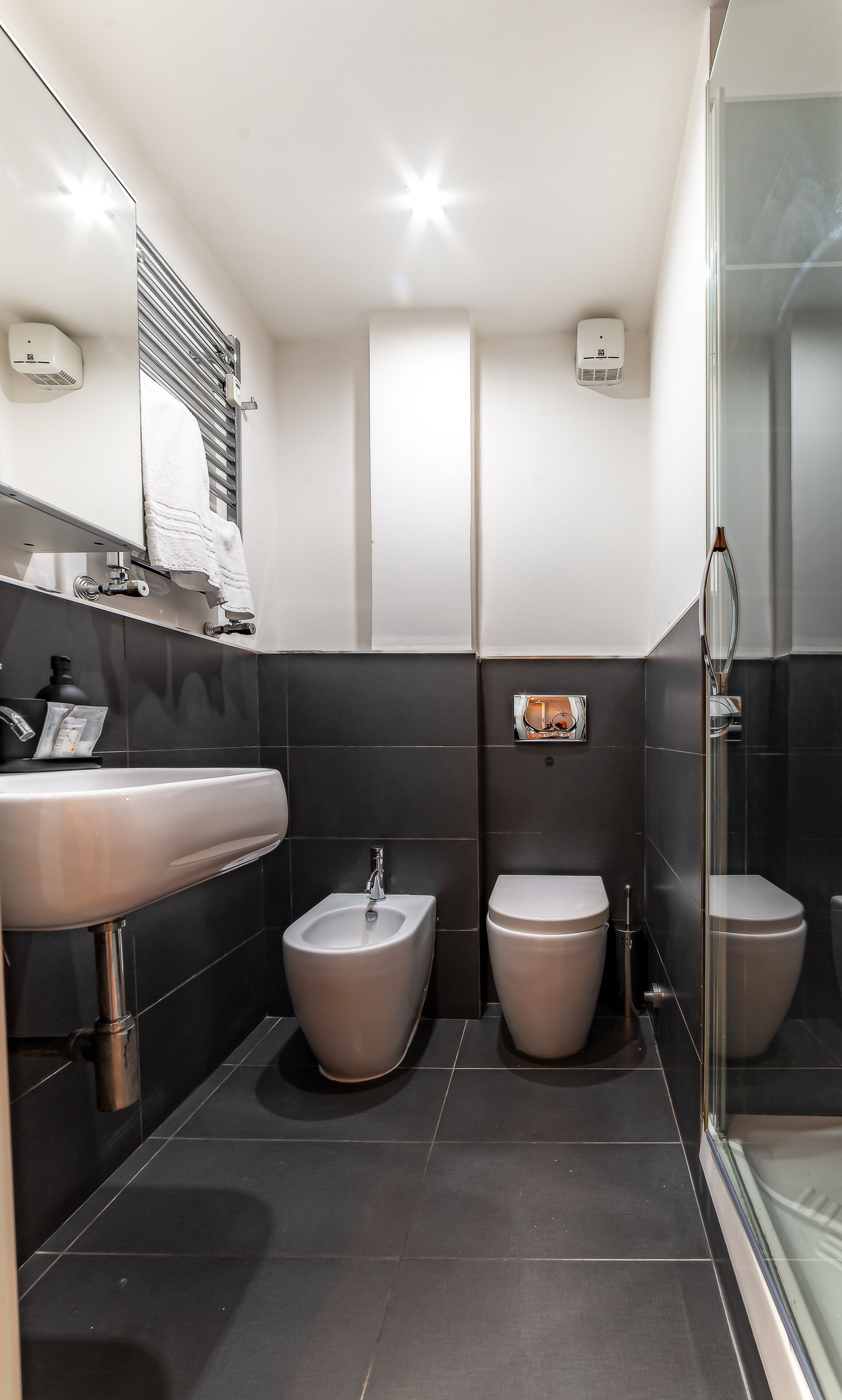 Douche, douche à « effet pluie », sèche-cheveux, bidet