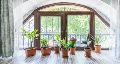 HB apartments Akhvelediani II