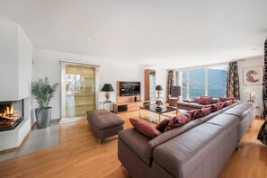 TV, fireplace, video games, DVD player