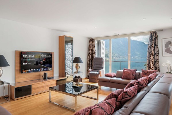 TV, fireplace, video games, DVD player