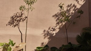 A person sitting by a pool with large green plants and a beige wall in the background. - Domus Blanc Boutique Hotel, Member of Domus Elegance Collection (Chania)