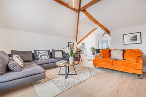 Télévision, cheminée, chaîne hi-fi
