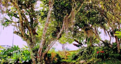 Casa Laureles