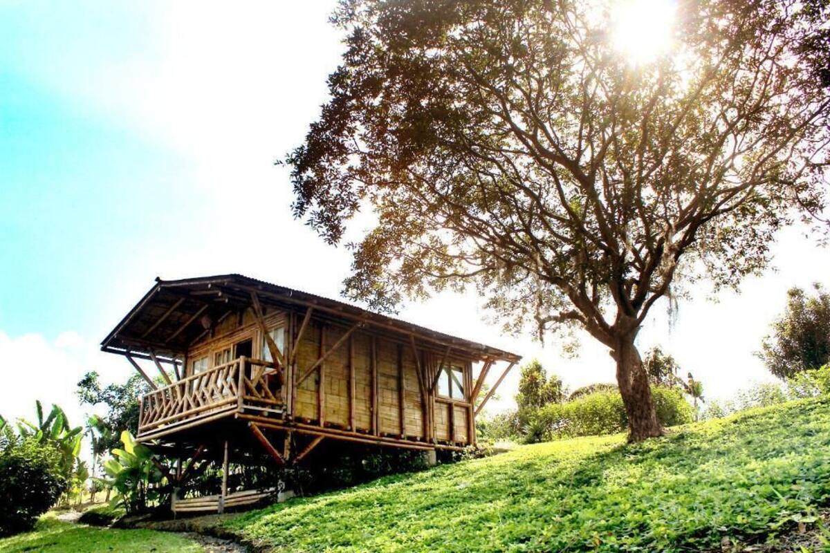 A wooden structure with a balcony, situated on a grassy slope with a large tree nearby.
