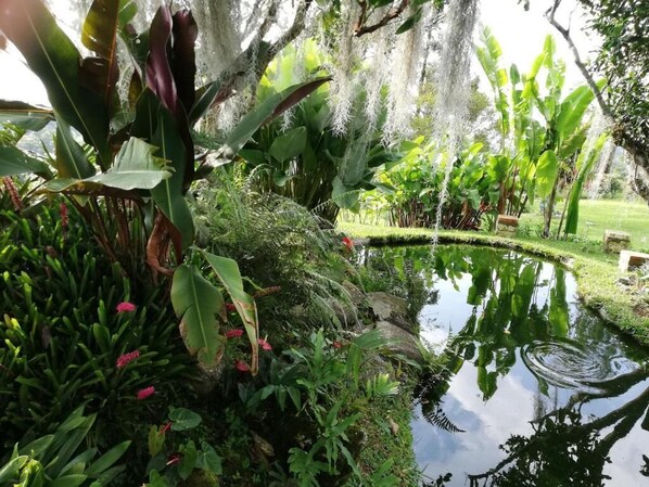 A lush garden with a pond, various plants, and a stone pathway.