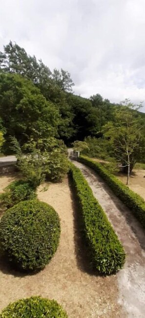 Property grounds - At Acqua Santa, immersed in nature (Semproniano)