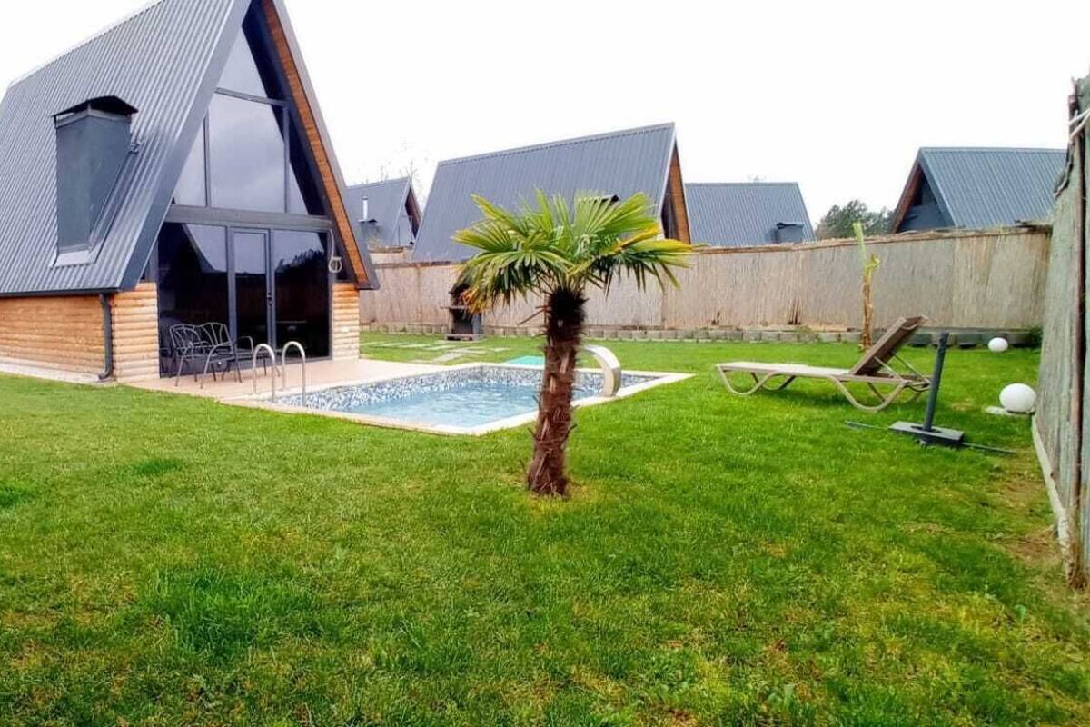 A modern house with a unique triangular roof, a swimming pool, and a small palm tree.