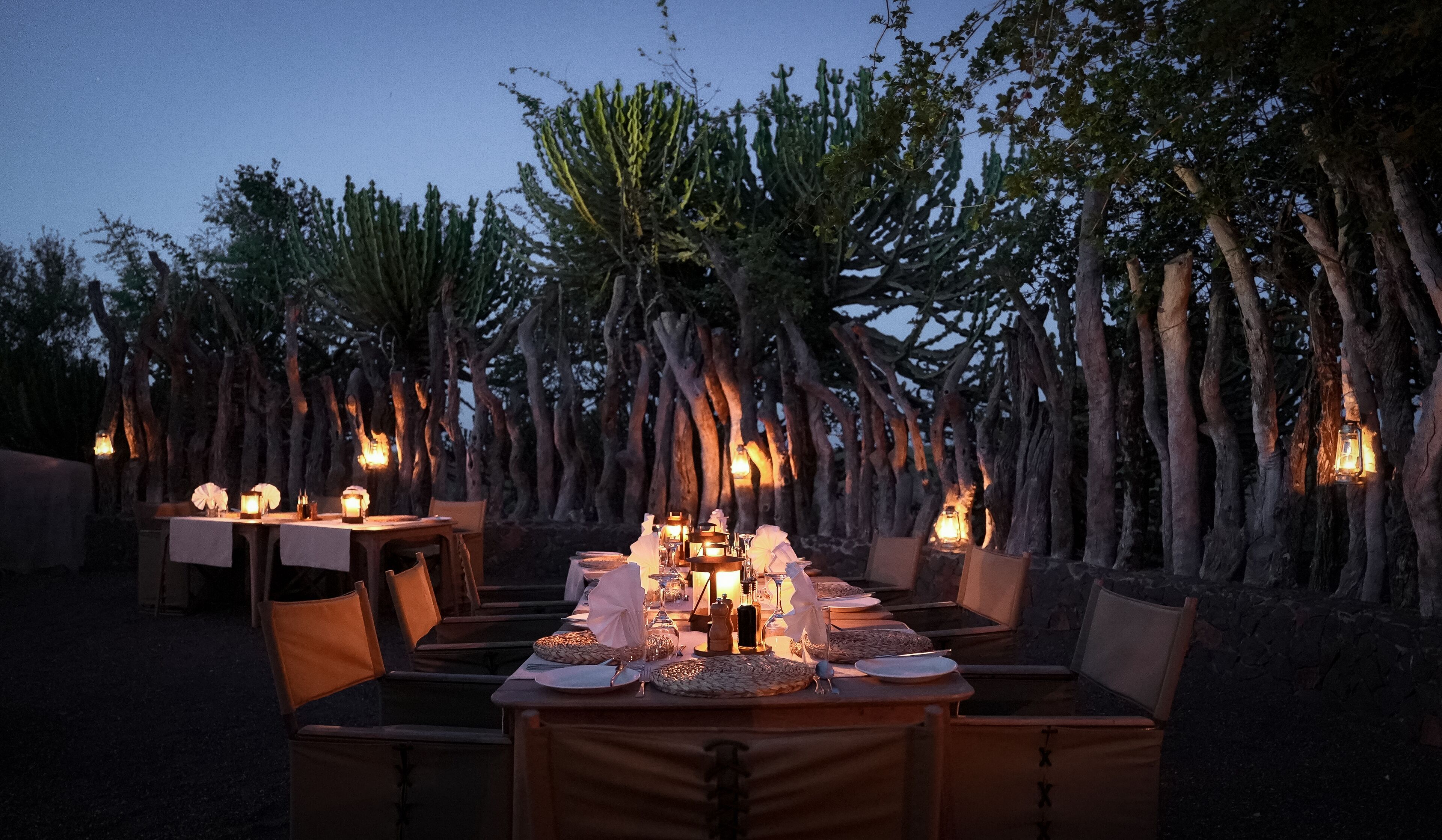 Un espace de restauration en plein air, avec des tables dressées pour le repas, entouré d’arbres et illuminé par des lanternes.