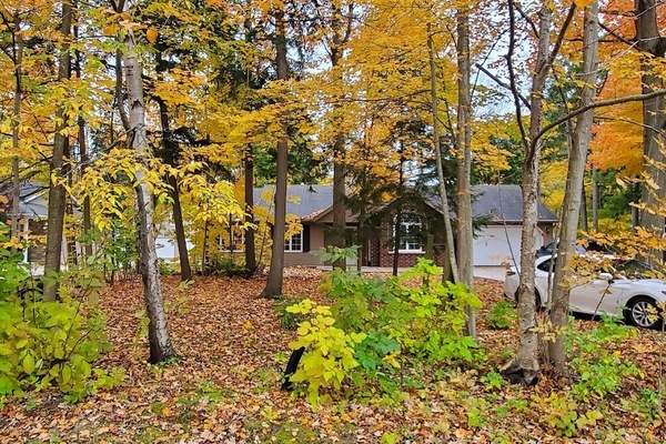 Beautifully treed front yard