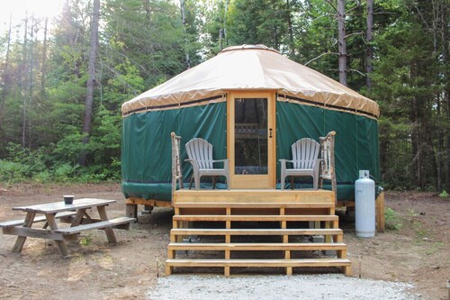 Allie Mae Yurt nestled in the woods