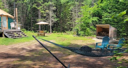 Allie Mae Yurt nestled in the woods