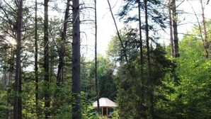 Metsän keskellä sijaitseva mökki, jonka ympärillä kohoaa korkeita puita.