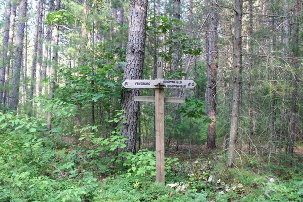 A wooden signpost with directional signs for Fryeburg and Brownfield.