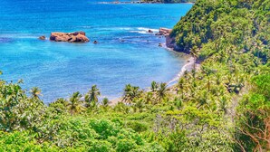 A coastal landscape with a beach, rocky outcrops, and dense tropical vegetation. - Blue Whale Villa - Penthouse (Calibishie)