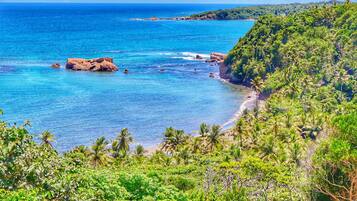 Rannalla, aurinkotuoleja