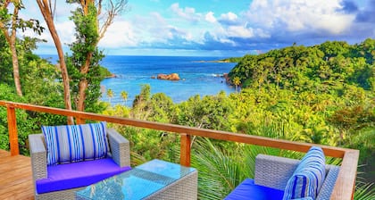 Blue Whale Villa - Penthouse