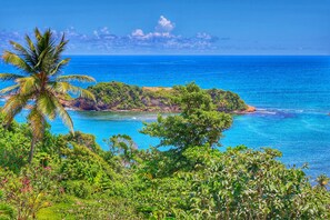 Una isla tropical con exuberante vegetación y un mar azul cristalino.