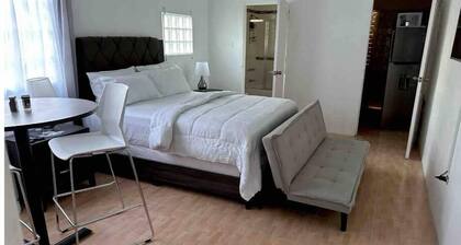 Eagles Nest Villa Studio - AC TV WIFI LuxcAlbion St Thomas Jamaica Luxury VRBO