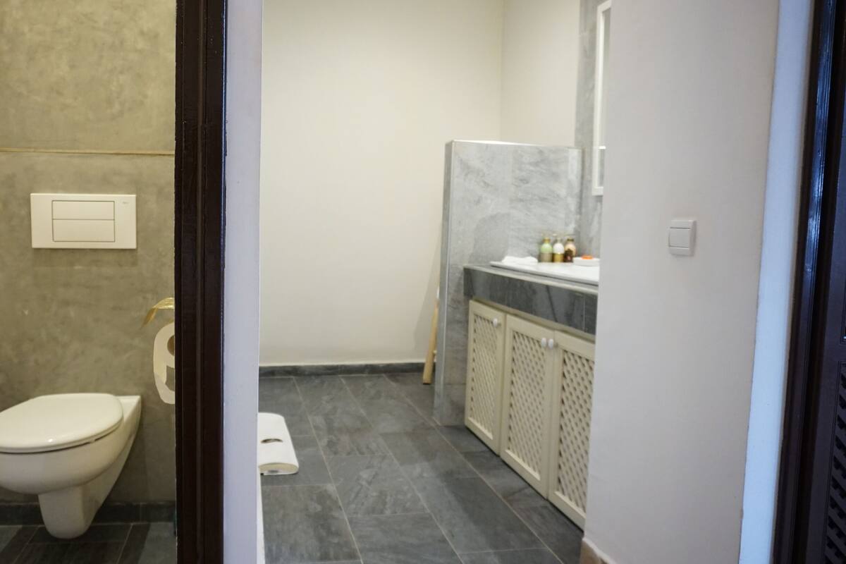 A bathroom with a toilet, a shower area, and a sink with a mirror.