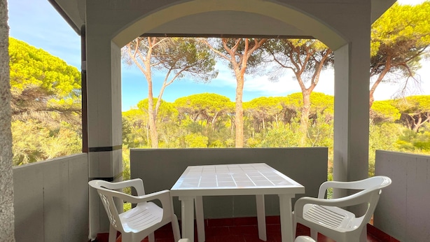 A covered outdoor area with a table and chairs, a view of trees and greenery, and a tiled floor. - Paguro (Grosseto)