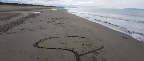 Vue sur la plage/l’océan