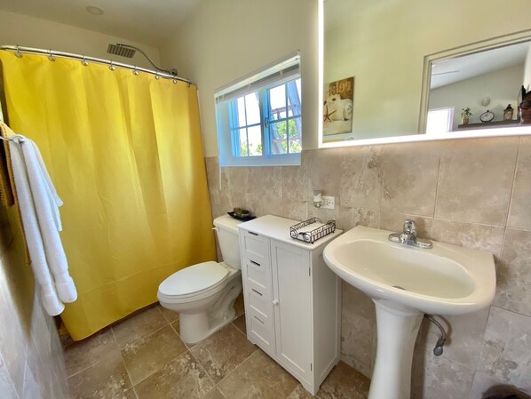 Shower, hair dryer, towels, soap