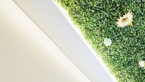 Une enseigne au néon avec les lettres « MK » sur un mur blanc, au-dessus d’un mur verdoyant orné de fleurs.