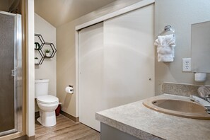 シャワー、ヘアドライヤー、タオル、石鹸