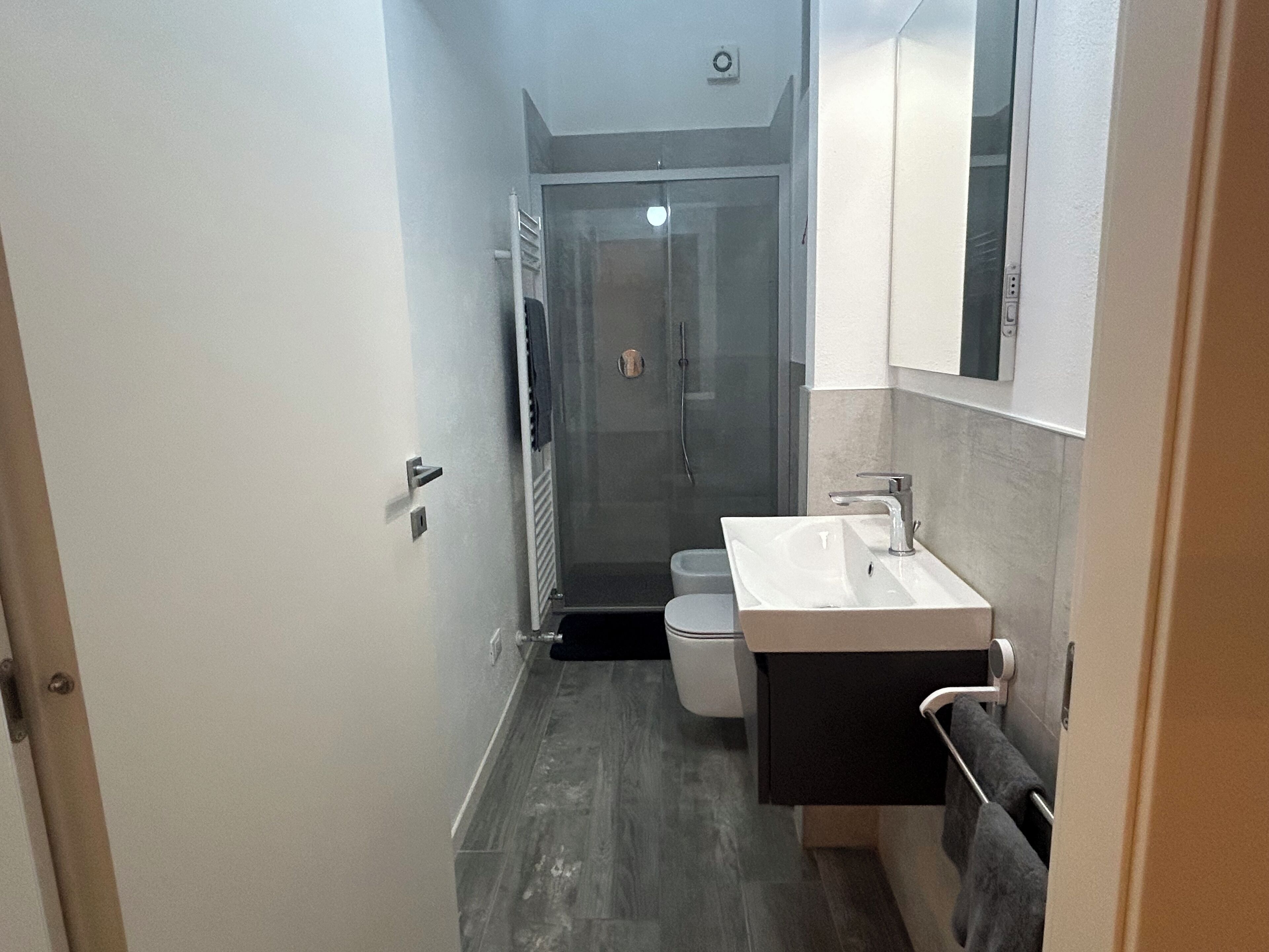 Dusche, Haartrockner, Bidet, Handtücher