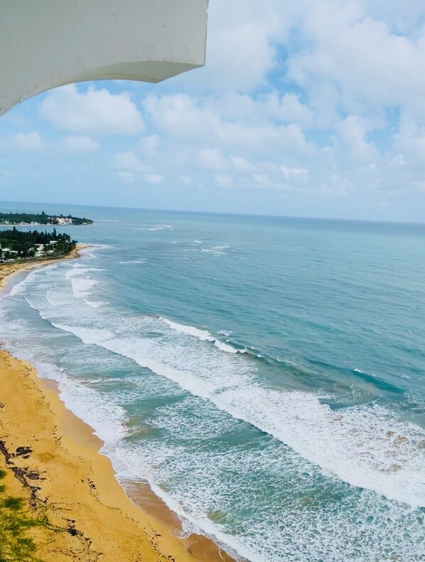 On the beach, sun-loungers, beach towels - Amazing Ocean View from the 20th Floor (Luquillo)
